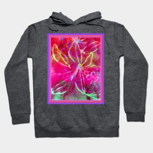 Aurora Australas Hoodie